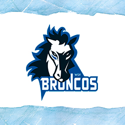 Logo Wipptal Broncos